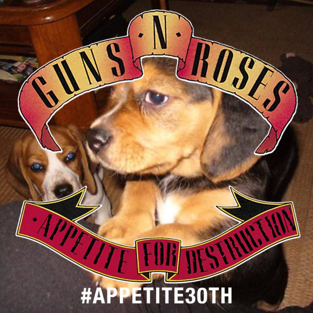 Meet your Posher, Paula